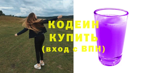 ПСИЛОЦИБИНОВЫЕ ГРИБЫ Вяземский