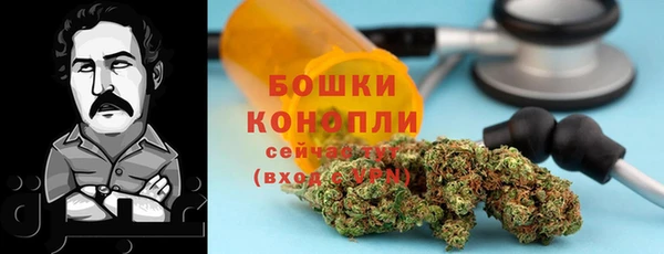стаф Вязьма