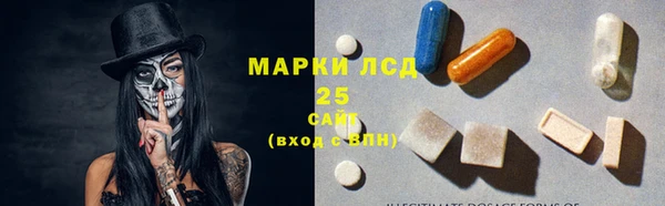 стаф Вязьма