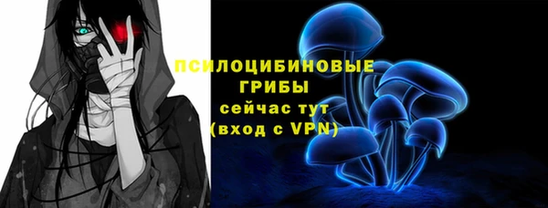 ПСИЛОЦИБИНОВЫЕ ГРИБЫ Вяземский