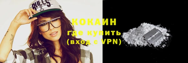 стаф Вязьма