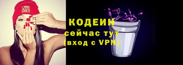 ПСИЛОЦИБИНОВЫЕ ГРИБЫ Вяземский