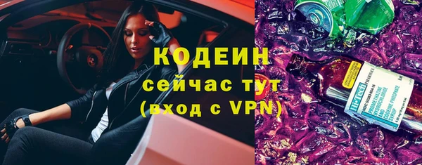 ПСИЛОЦИБИНОВЫЕ ГРИБЫ Вяземский