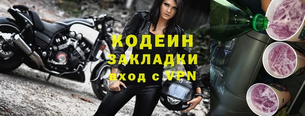 ПСИЛОЦИБИНОВЫЕ ГРИБЫ Вяземский