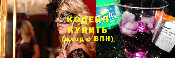 ПСИЛОЦИБИНОВЫЕ ГРИБЫ Вяземский