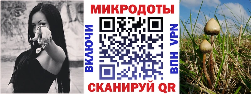 Псилоцибиновые грибы MAGIC MUSHROOMS  Видное 