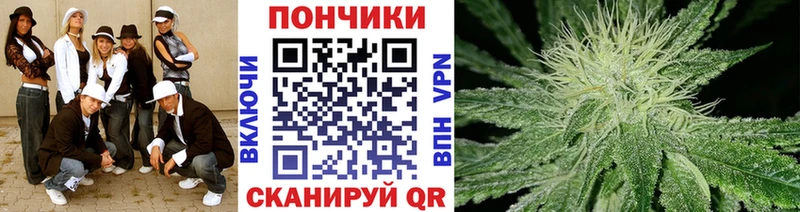 Каннабис ГИДРОПОН  hydra   Видное 